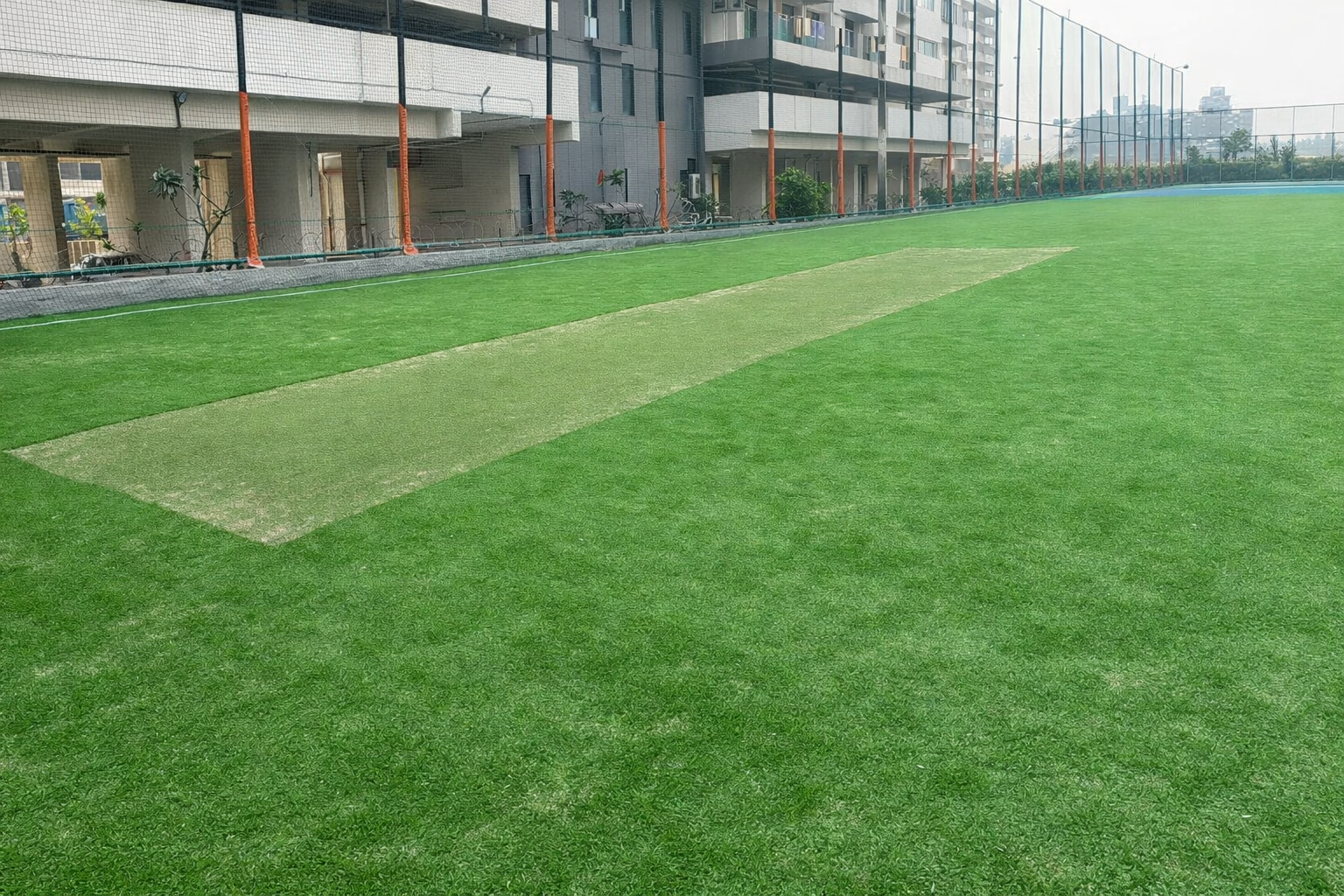 neton sport cricket ground with turf surface